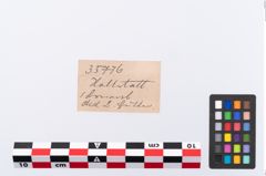 Etikett zu Bronzeschwanenhalsnadel (NHMW-PRAE-035776)